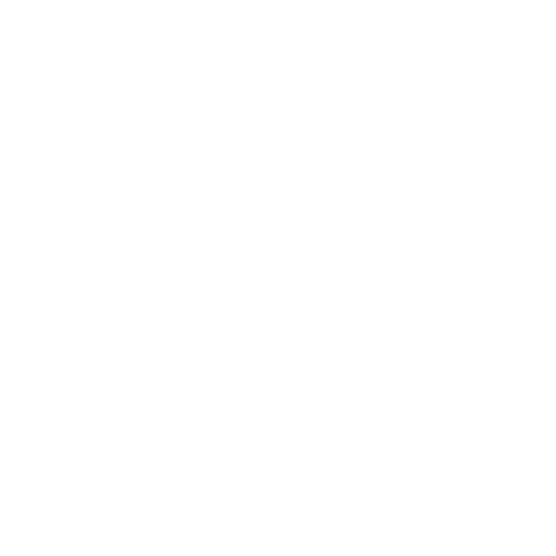 SnowStore.nl logo website snowstore onderhoud skionderhoud webshop ski snowboard wintersport snowstore logo